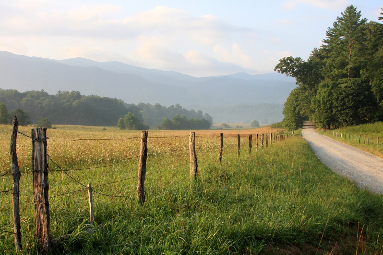 country